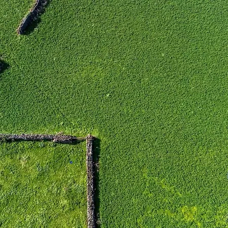 Casa Do Jardim * Santa Cruz da Graciosa